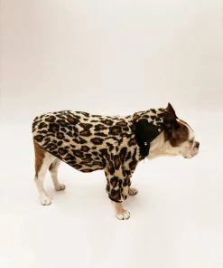 Trippnyc.com Women LEOPARD DOG JACKET